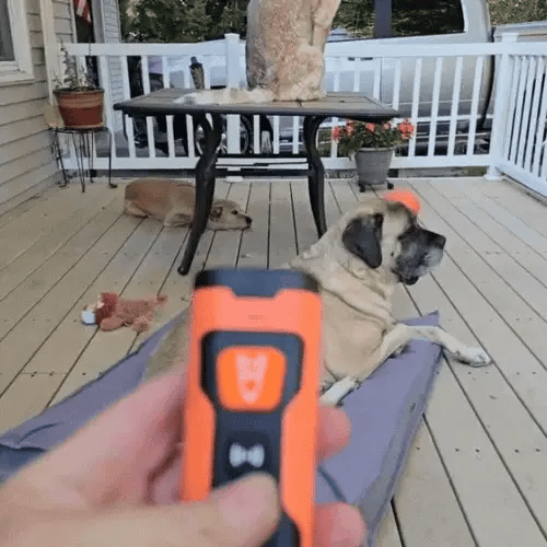 QuietPaws Bark Buddy