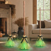 Animated Lighted Witch Broom